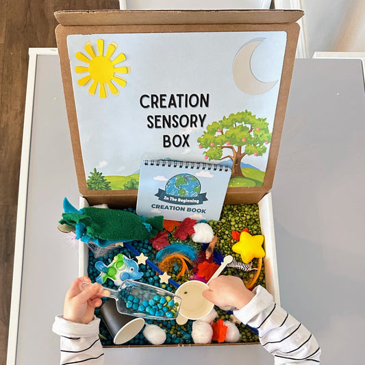 Creation Sensory Box