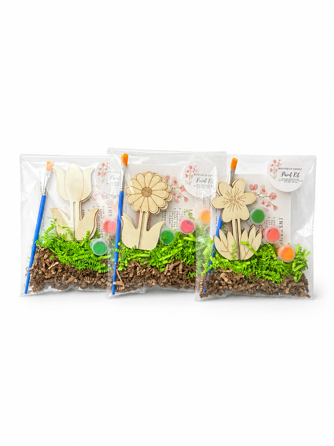 Rooted in Christ Paint Kit