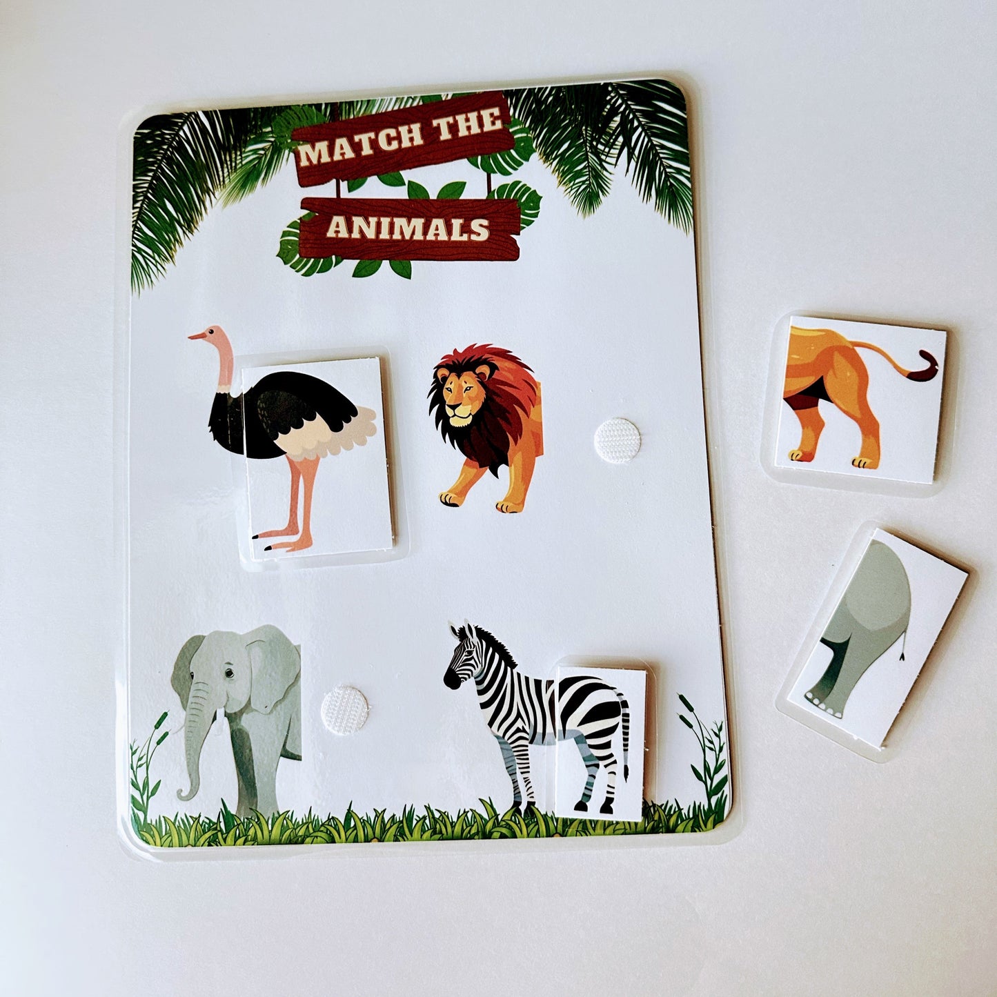 Noah's Ark Toddler Box